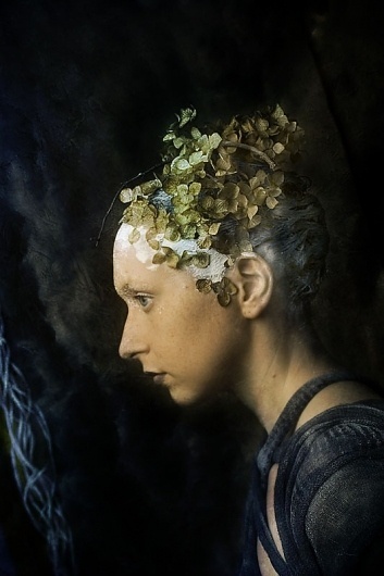 Marc+Dubord+-+white+flower+profil.jpg (Imagem JPEG, 533x800 pixéis) - Dimensão/Escala (99%) #marc #dubord