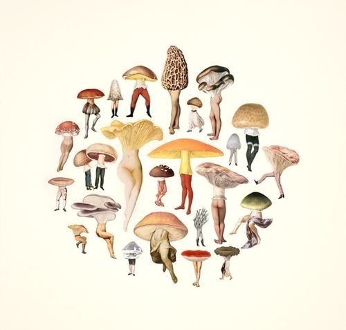 amy ross #mushroom #body #illustration #creatures #pixies #collage