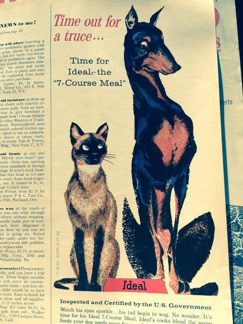 Tumblr, doberman.photos, shinyblackdeer #ted #doberman #illustration #drake #dog