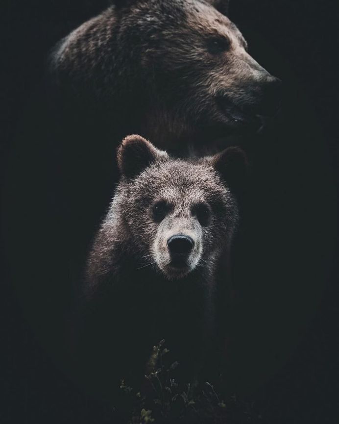 #wildernessculture: Nature and Outdoor Photography by Stian Norum Herlofsen