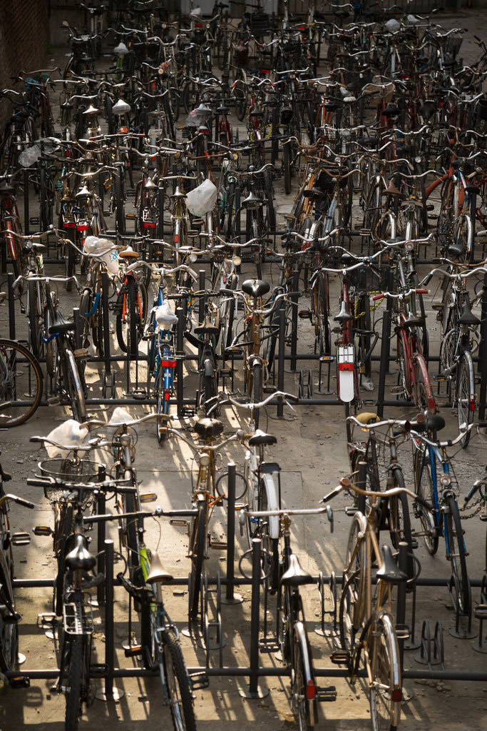 Biciclette | incontri ravvicinati #photography #bicycles #bike #diversity #italy