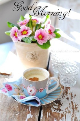 - Good Morning