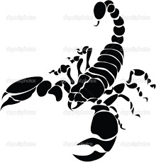 Image result for scorpion vector