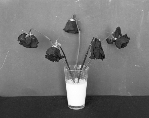 Thomas Hauser #photography