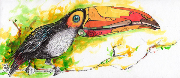 Birds Venezuela. #illustration #art