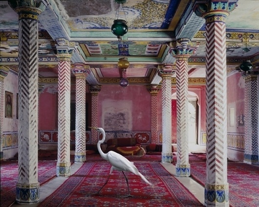 Karen Knorr » India Song #phoyography #india