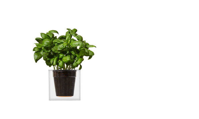CUBE PLANTER / BOSKKE | Simon James Concept Store #plants #greens #design #planter #glass #industrial