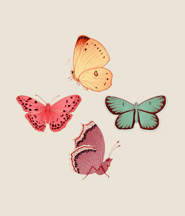 Butterfly days mariadiamantes #butterflies #illustration #design #pattern