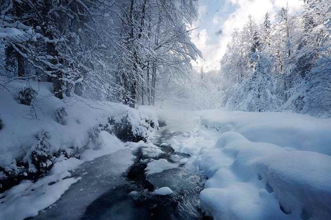 Nature Photography by Alexandre Deschaumes #inspiration #photography #nature