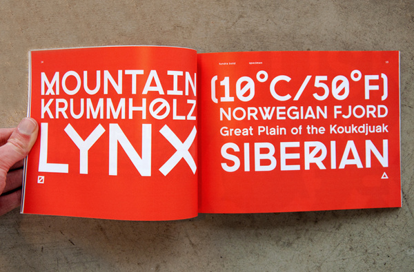 tundra type specimen #specimen #tyepface #design #tundra #type #typography