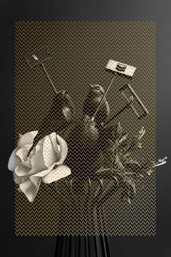 Rodrigo Maltchique Braga #blackwhite #poster