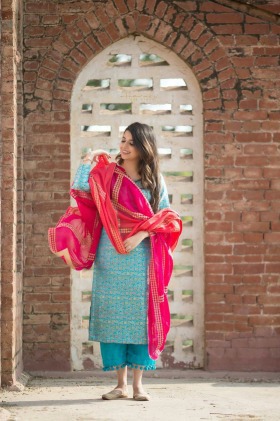 Beautiful Punjabi Suits - Happy Shappy