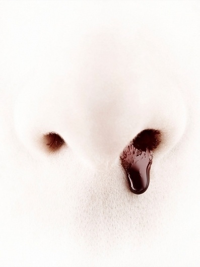 David Gill #photo
