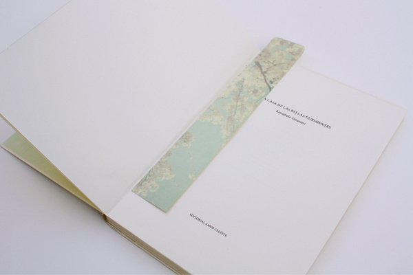 Coleccixc3xb3n #layout #book