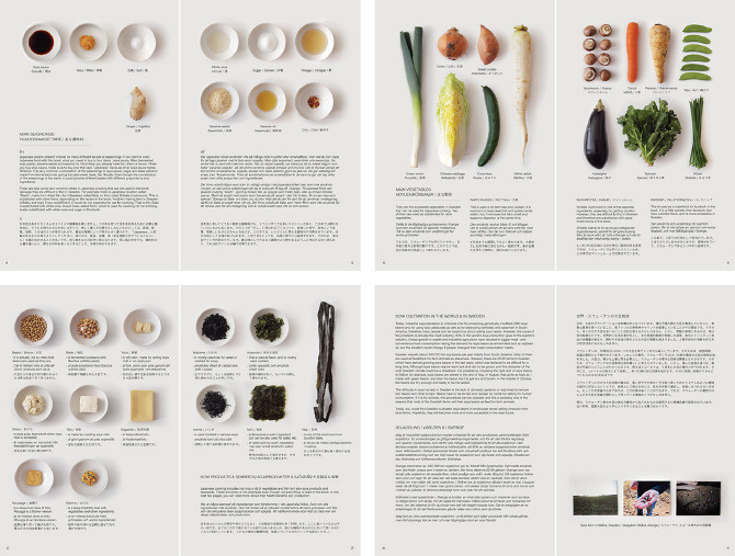 The Foreign Japanese Kitchen - Moé Takemura #layout #design #editorial