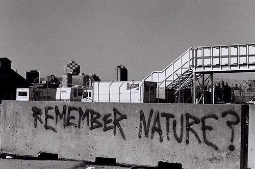 582420_285230638218485_1701925136_n.jpg (JPEG Image, 500 × 332 pixels) #graffiti #city #urban #nature