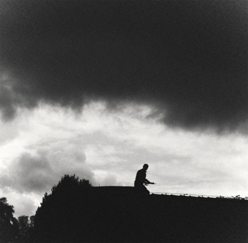 manuelnieberle. #weapon #white #nieberle #manuel #black #roof #silhouette #and