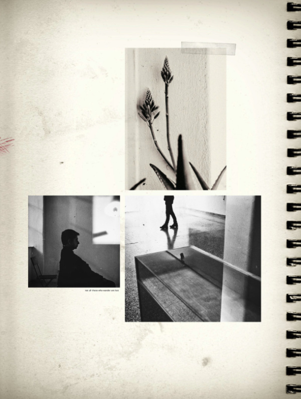 Alexei Siozov | PICDIT