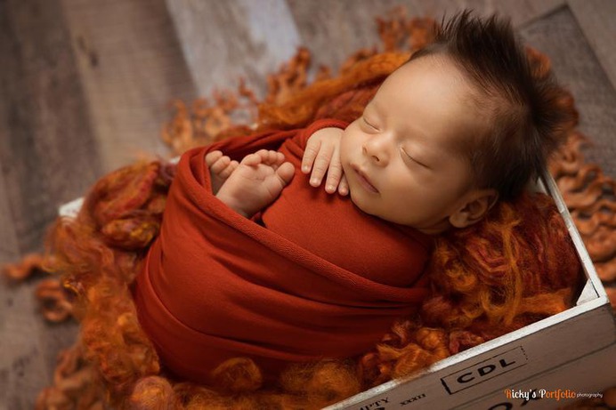 Rust Orange Newborn Fluff Cloud Basket Filler Nest Stuffer