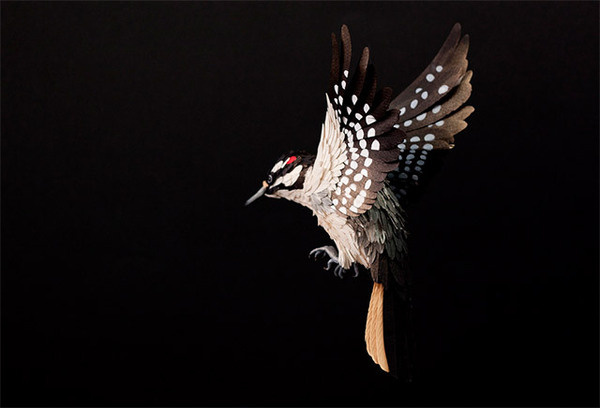 New Paper Birds from Diana Beltran Herrera #sculpture #construction #bird #illustration #art #paper #dimensional