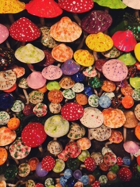Colorful mushrooms #color #mushrooms
