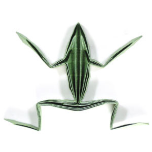 How to make a simple origami frog II (http://www.origami-make.org/howto-origami-frog.php)