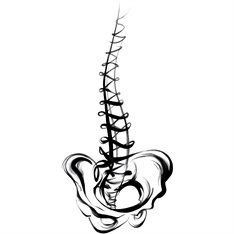 #illustration #KathrynRathke #linework #spine