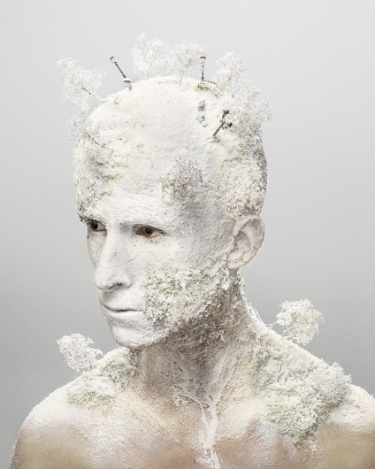 Levi van Veluw, Landscapes on the Behance Network #van #veluw #levi #illustration #nature #photography #portrait
