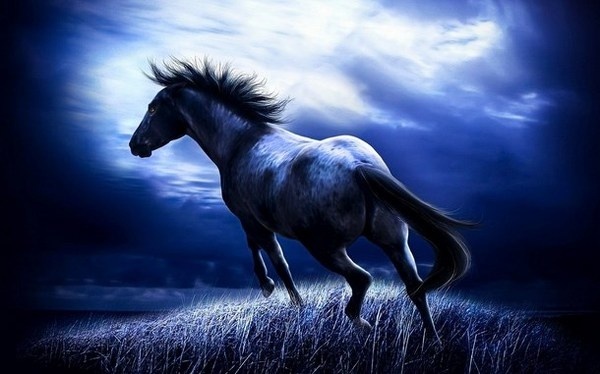 Year of the Horse 2014 for painters and artists #year #horse #of #the #artists #art #2014 #painters