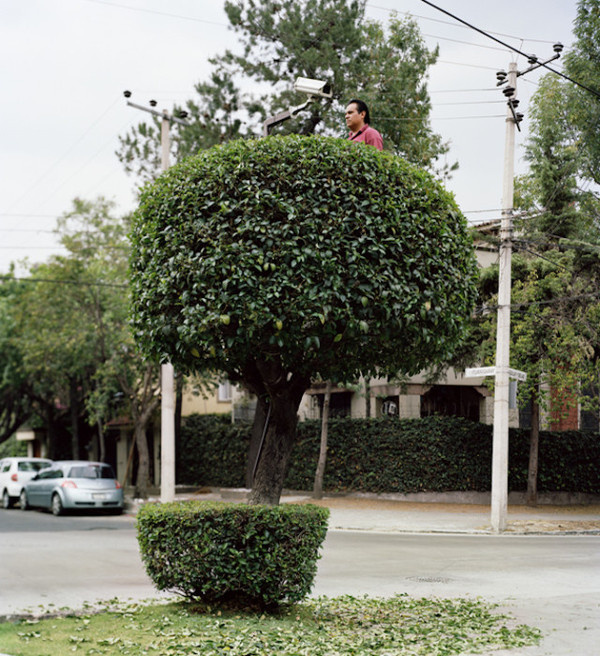 Miradors by Erwan Fichou #inspration #photography #art