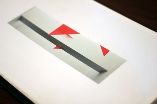 Libro Experimental on the Behance Network #morphology #photography #experimental #book