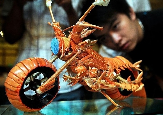 Lobster Bike » Design You Trust – Design and Beyond! #foods #photo #arts #bike #lobster