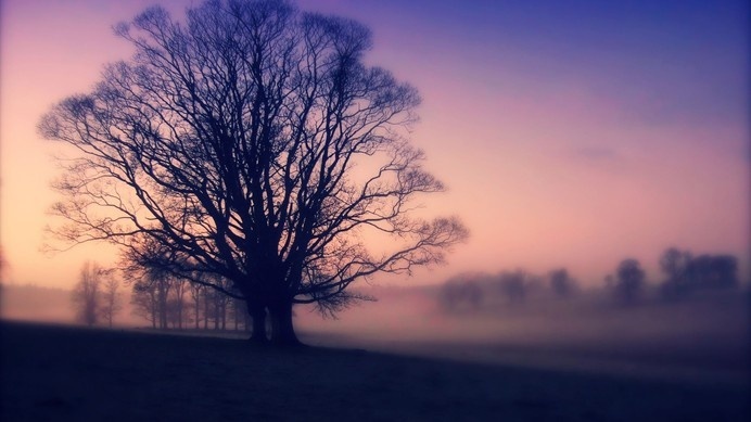 Lomography Landscape Wallpaper #inspiration #photography #landscape
