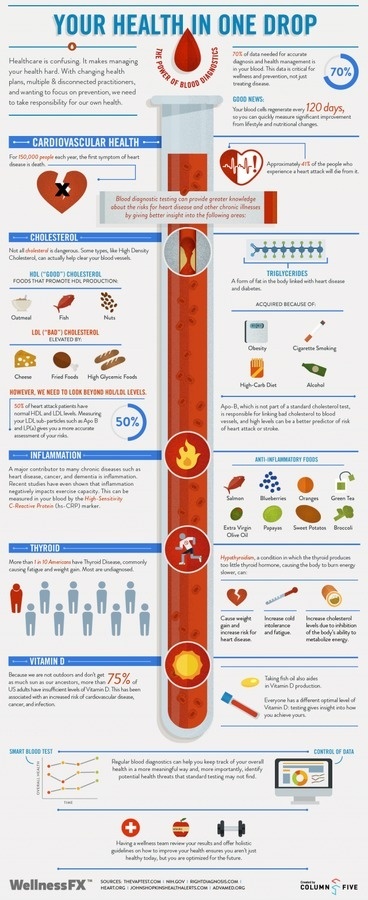 Wellness Infographic #blood #infographic #health