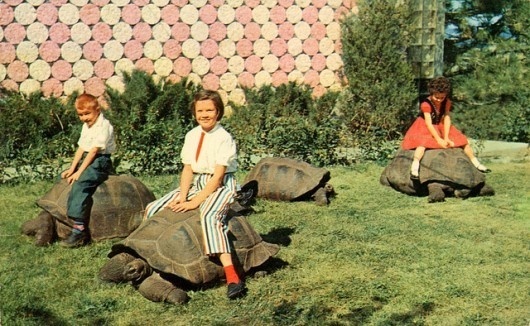 http://blog.wanken.com/9030/womens-fashion-of-the-60s/ #fashion #60s