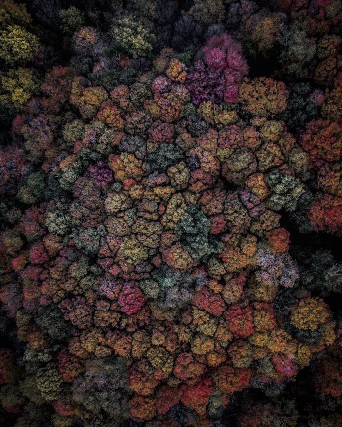 #instatravel: Stunning Travel Drone Photography by Adam Danni
