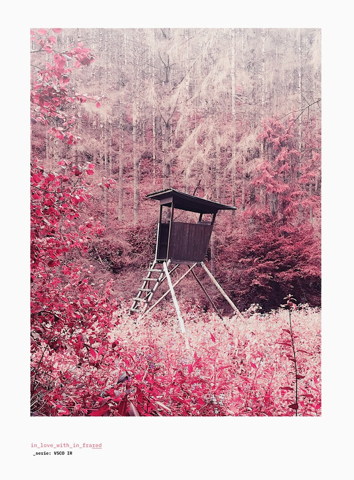 in_love_with_in_frared
©
[ catrin mackowski ]