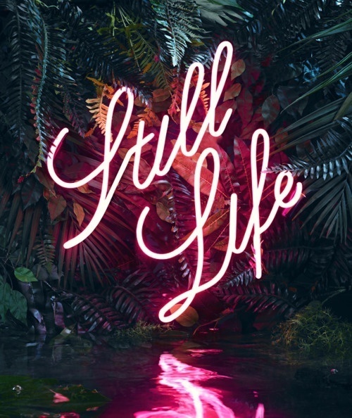 vintagebrownie #neon #floral #typography