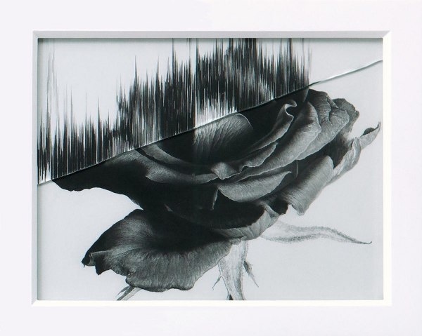 Taisuke Mohri | PICDIT