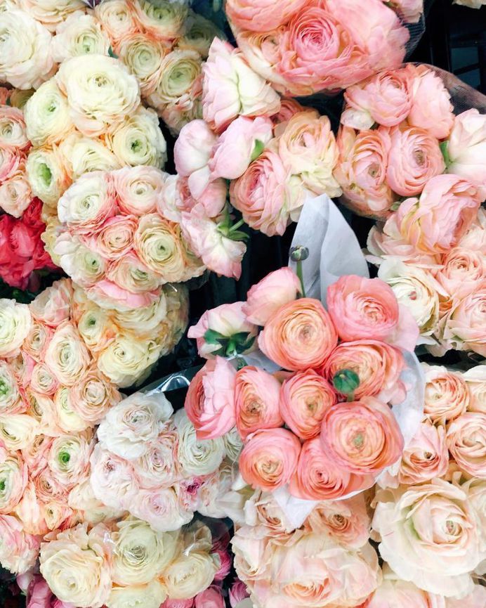 #bhgflowers: Beautiful Flower Photography by Kelsea Olivia Gaynor