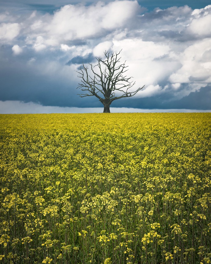 Majestic Natural Landscapes in Sweden by Christian Lindsten