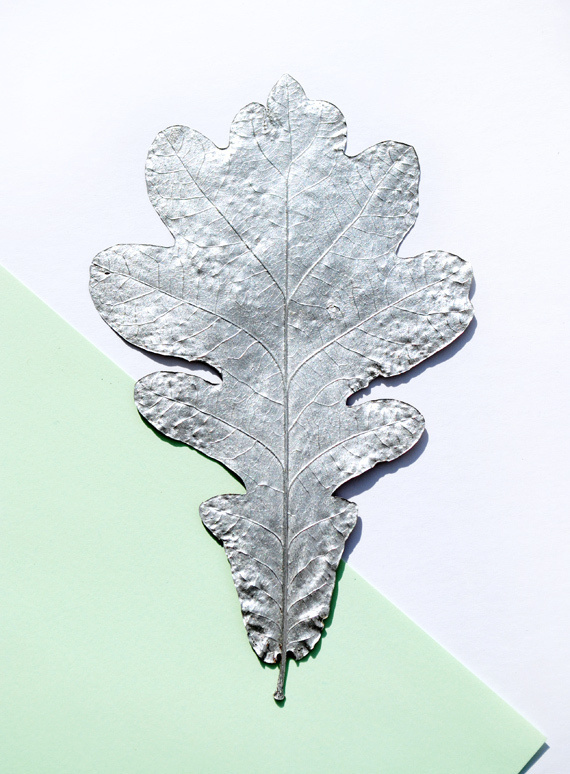 Silver leaves // Christmas decorations #silver #colors #spraypaint #leaf