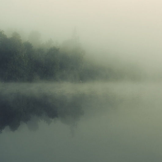 Tuve on the Behance Network #fog #holtermand #kim #photography #nature