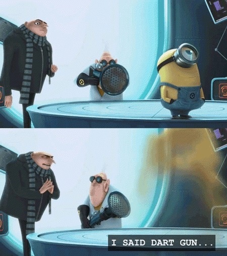 tumblr_lhci28pQYK1qh7l8yo1_500.gif (GIF-Grafik, 450x506 Pixel) #minion