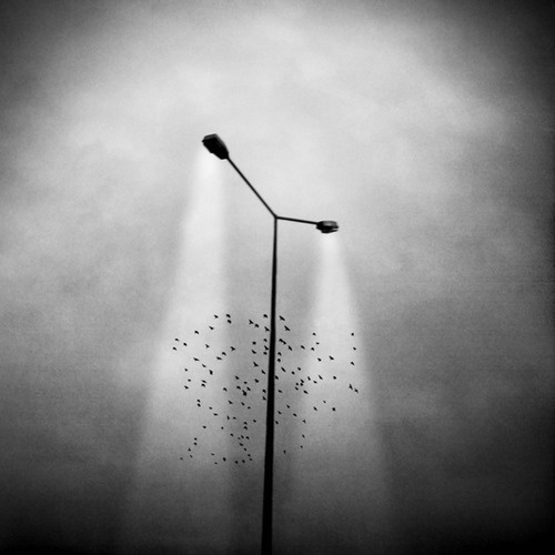 Every reform movement has a lunatic fringe #photography