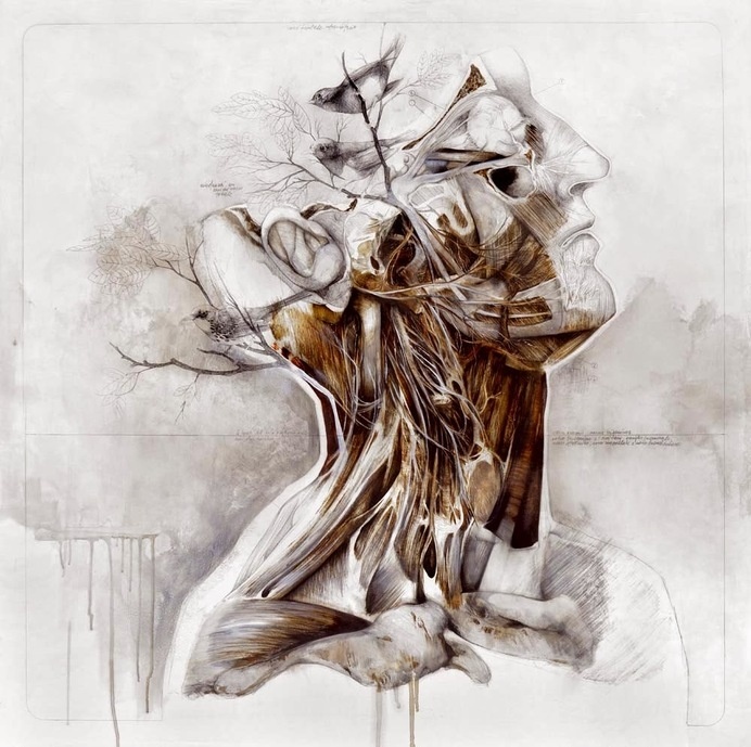 nunzio paci #human #illustration #nature