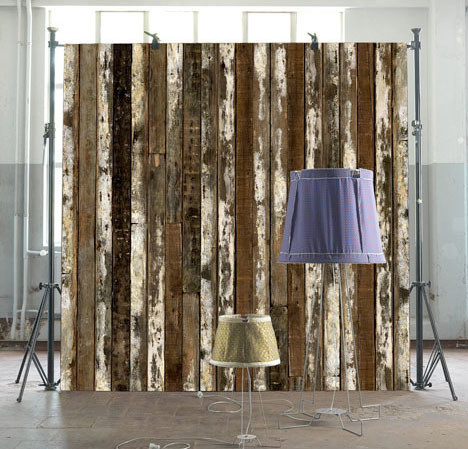 #wall #forest #woods #wood #brown #room