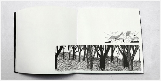 Paisaje Taquigráfico on the Behance Network #diego #ink #pinzon #book #illustration #diary #editorial
