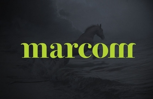 Samantha Wilkes Graphic Design #mark #ocean #word #horse