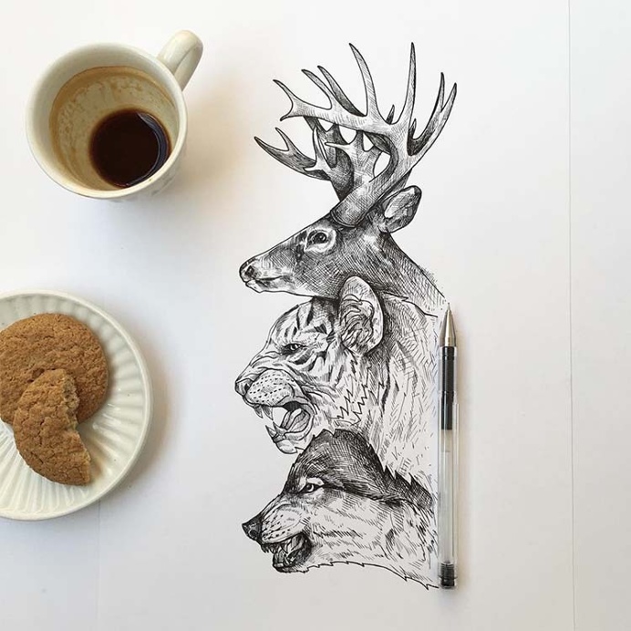 Black Pen Illustrations